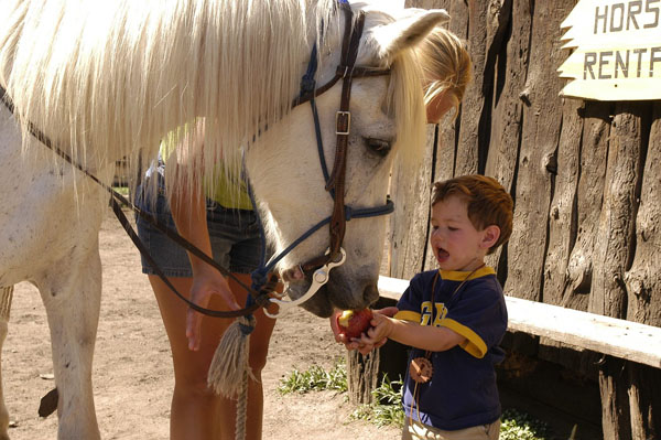Tarryall river ranch